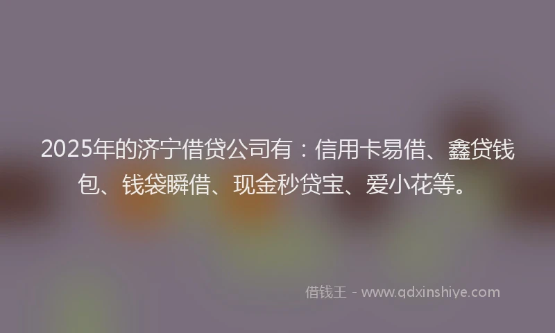 2025年的济宁借贷公司有：信用卡易借、鑫贷钱包、钱袋瞬借、现金秒贷宝、爱小花等。