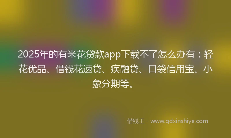 2025年的有米花贷款app下载不了怎么办有：轻花优品、借钱花速贷、疾融贷、口袋信用宝、小象分期等。
