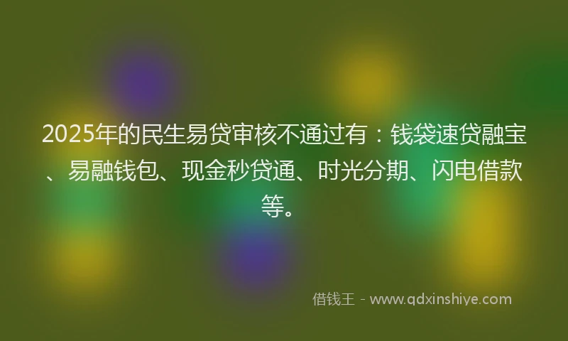 2025年的民生易贷审核不通过有：钱袋速贷融宝、易融钱包、现金秒贷通、时光分期、闪电借款等。