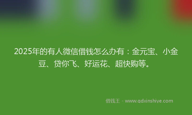 2025年的有人微信借钱怎么办有:金元宝、小金豆、贷你飞、好运花、超快购等。