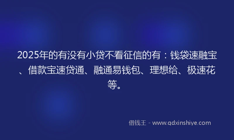 2025年的有没有小贷不看征信的有:钱袋速融宝、借款宝速贷通、融通易钱包、理想给、极速花等。