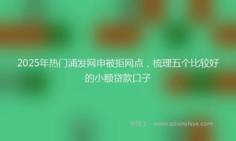 2025年热门浦发网申被拒网点，梳理五个比较好的小额贷款口子