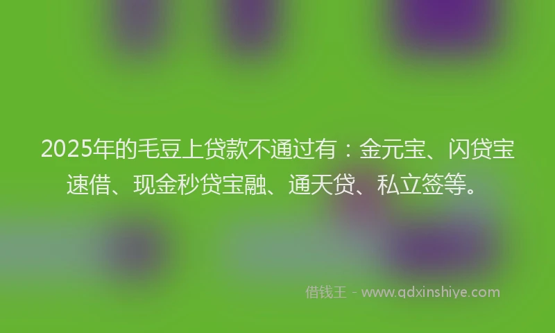 2025年的毛豆上贷款不通过有：金元宝、闪贷宝速借、现金秒贷宝融、通天贷、私立签等。