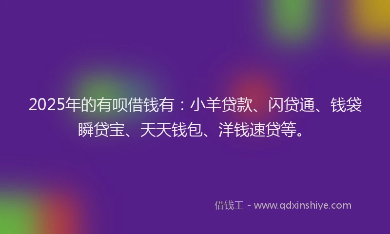 2025年的有呗借钱有：小羊贷款、闪贷通、钱袋瞬贷宝、天天钱包、洋钱速贷等。