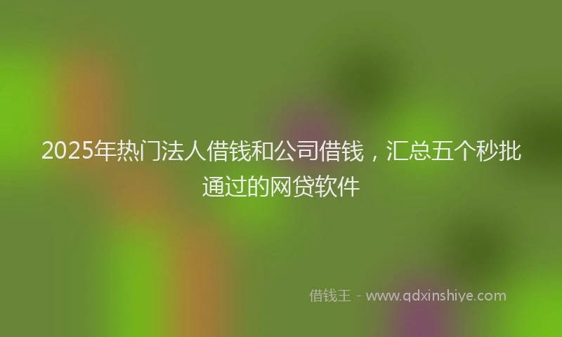 2025年热门法人借钱和公司借钱,汇总五个秒批通过的网贷软件