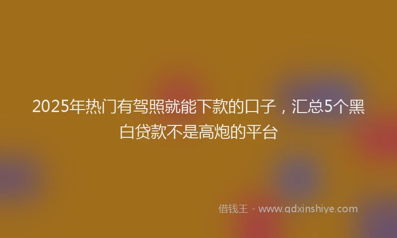 2025年热门有驾照就能下款的口子,汇总5个黑白贷款不是高炮的平台