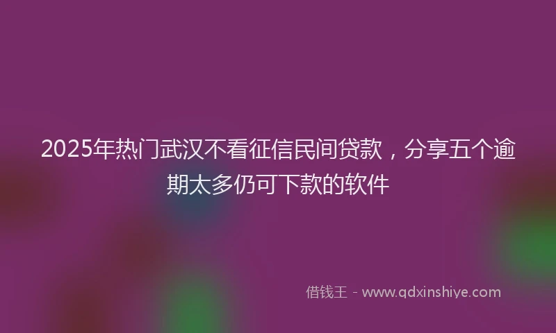 2025年热门武汉不看征信民间贷款，分享五个逾期太多仍可下款的软件