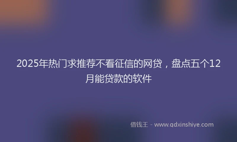 2025年热门求推荐不看征信的网贷，盘点五个12月能贷款的软件