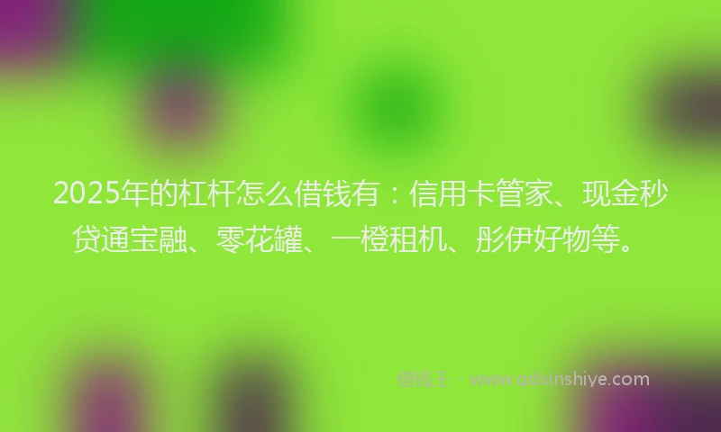 2025年的杠杆怎么借钱有：信用卡管家、现金秒贷通宝融、零花罐、一橙租机、彤伊好物等。