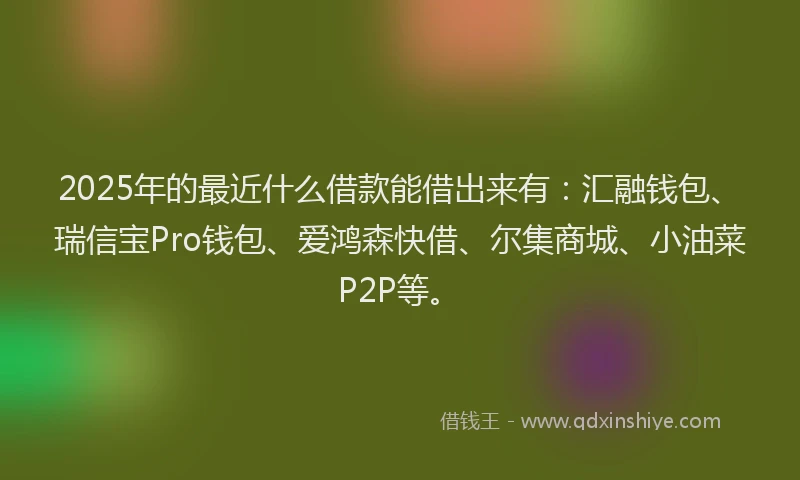 2025年的最近什么借款能借出来有:汇融钱包、瑞信宝Pro钱包、爱鸿森快借、尔集商城、小油菜P2P等。