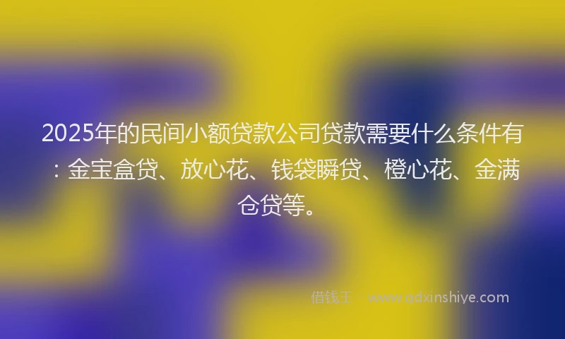 2025年的民间小额贷款公司贷款需要什么条件有：金宝盒贷、放心花、钱袋瞬贷、橙心花、金满仓贷等。