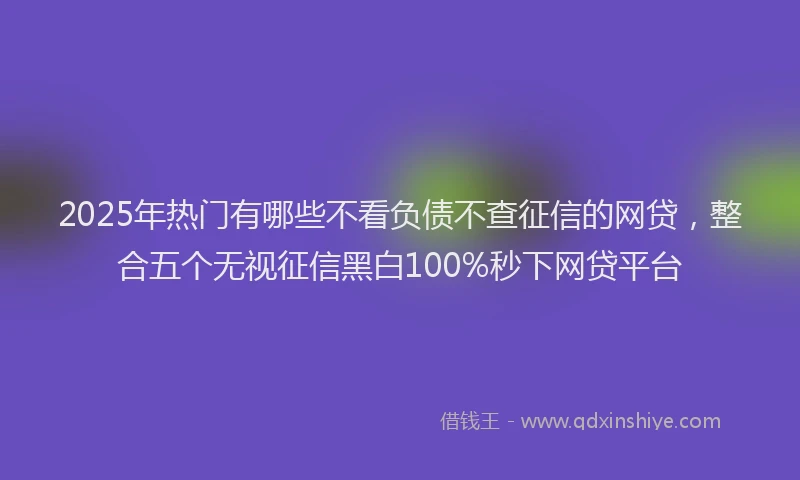 2025年热门有哪些不看负债不查征信的网贷，整合五个无视征信黑白100%秒下网贷平台