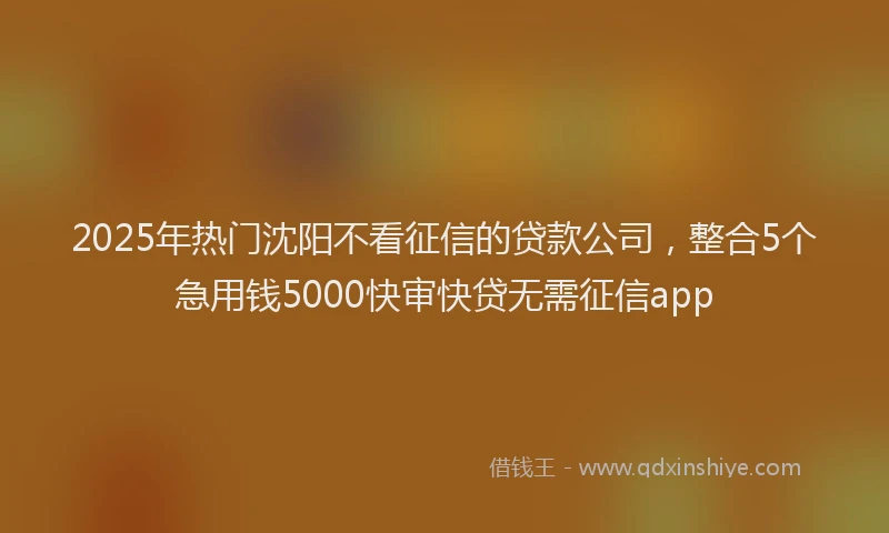 2025年热门沈阳不看征信的贷款公司，整合5个急用钱5000快审快贷无需征信app
