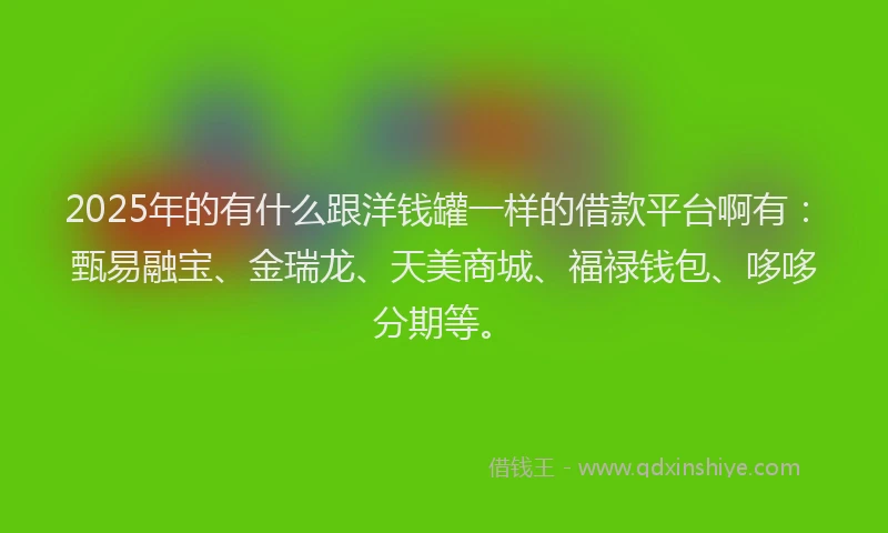 2025年的有什么跟洋钱罐一样的借款平台啊有：甄易融宝、金瑞龙、天美商城、福禄钱包、哆哆分期等。