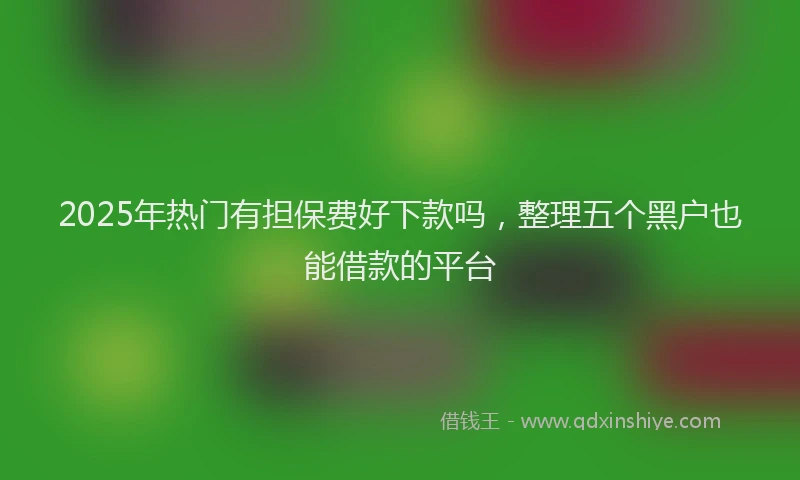 2025年热门有担保费好下款吗，整理五个黑户也能借款的平台