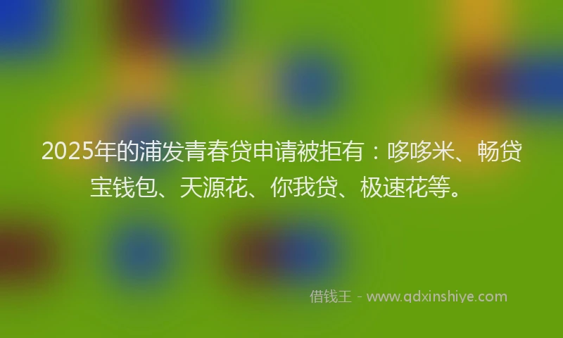 2025年的浦发青春贷申请被拒有：哆哆米、畅贷宝钱包、天源花、你我贷、极速花等。