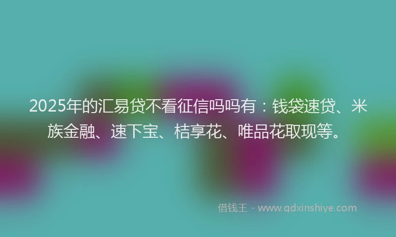 2025年的汇易贷不看征信吗吗有：钱袋速贷、米族金融、速下宝、桔享花、唯品花取现等。