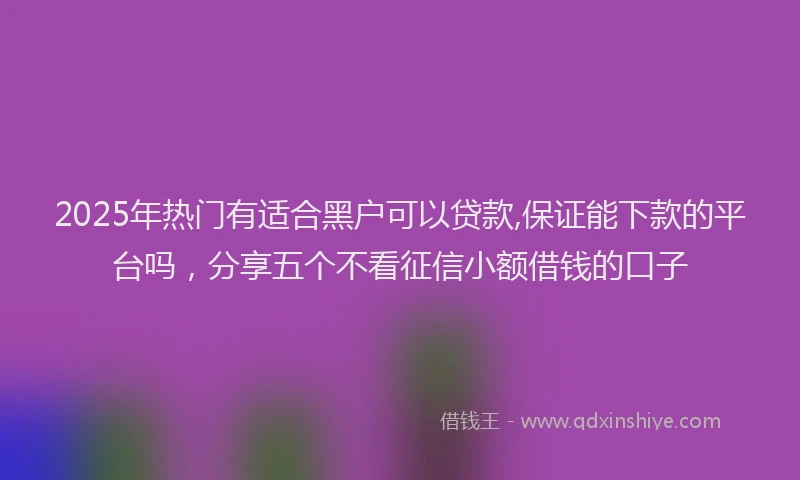2025年热门有适合黑户可以贷款,保证能下款的平台吗，分享五个不看征信小额借钱的口子