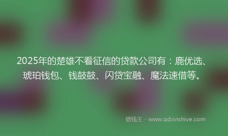 2025年的楚雄不看征信的贷款公司有:鹿优选、琥珀钱包、钱鼓鼓、闪贷宝融、魔法速借等。