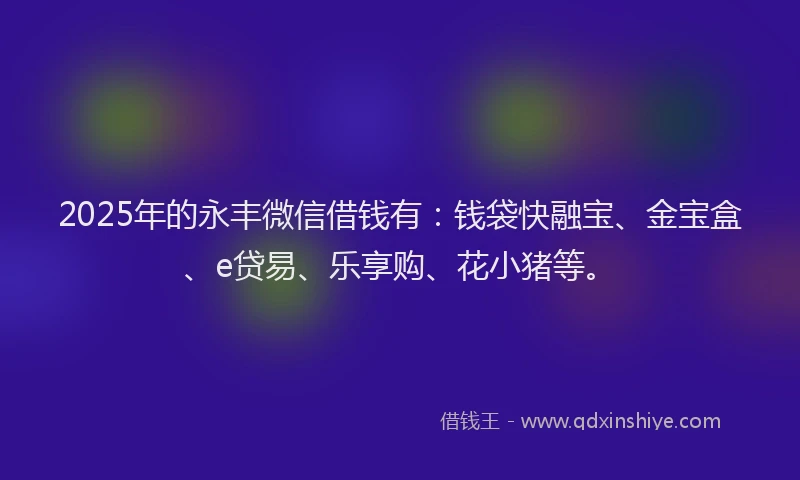 2025年的永丰微信借钱有：钱袋快融宝、金宝盒、e贷易、乐享购、花小猪等。