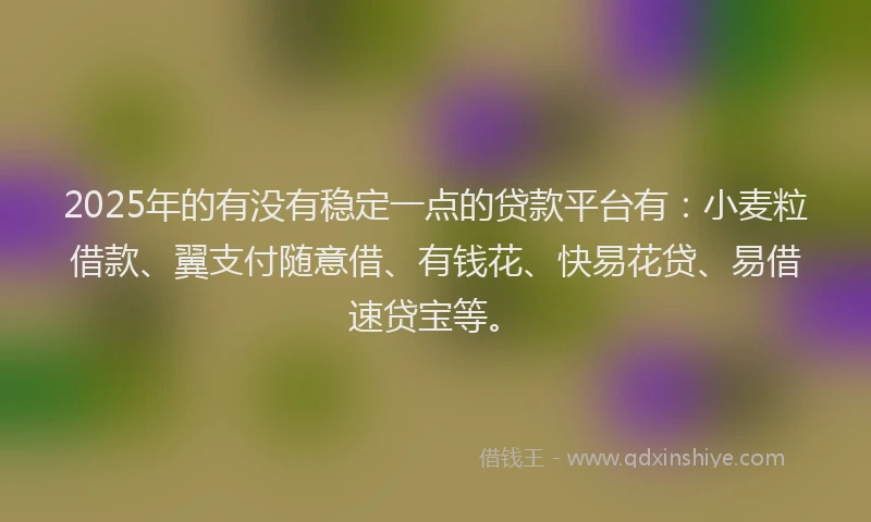 2025年的有没有稳定一点的贷款平台有：小麦粒借款、翼支付随意借、有钱花、快易花贷、易借速贷宝等。
