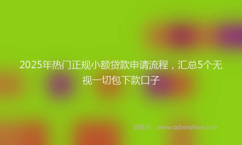 2025年热门正规小额贷款申请流程，汇总5个无视一切包下款口子