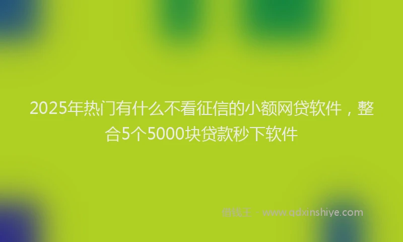 2025年热门有什么不看征信的小额网贷软件，整合5个5000块贷款秒下软件