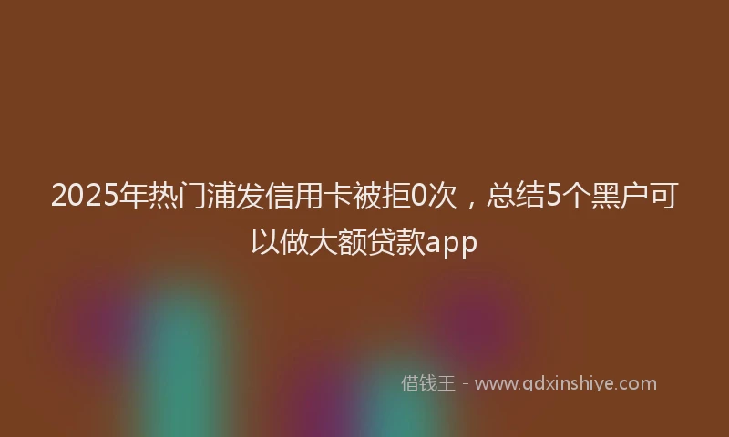 2025年热门浦发信用卡被拒0次，总结5个黑户可以做大额贷款app