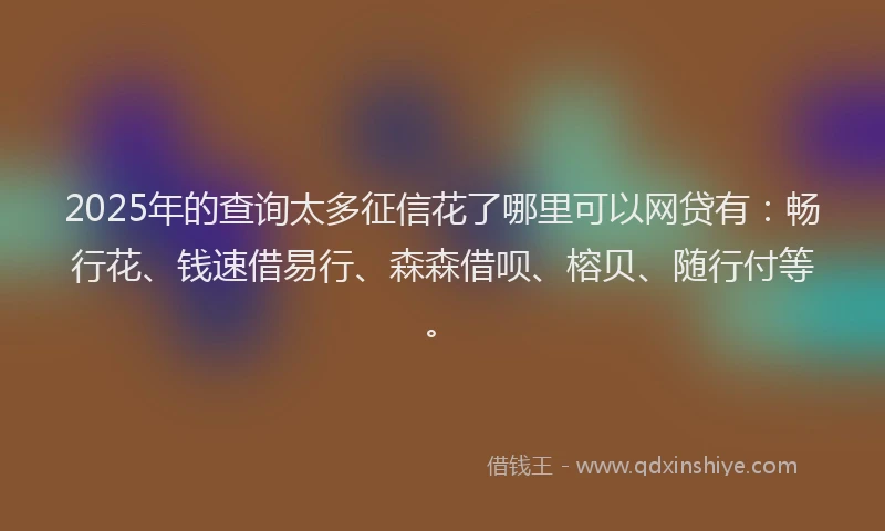 2025年的查询太多征信花了哪里可以网贷有：畅行花、钱速借易行、森森借呗、榕贝、随行付等。