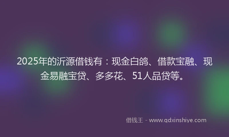 2025年的沂源借钱有：现金白鸽、借款宝融、现金易融宝贷、多多花、51人品贷等。