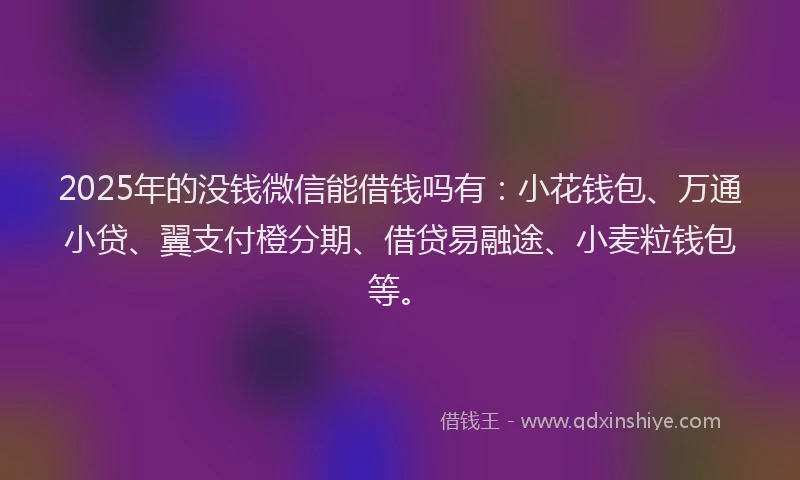 2025年的没钱微信能借钱吗有：小花钱包、万通小贷、翼支付橙分期、借贷易融途、小麦粒钱包等。