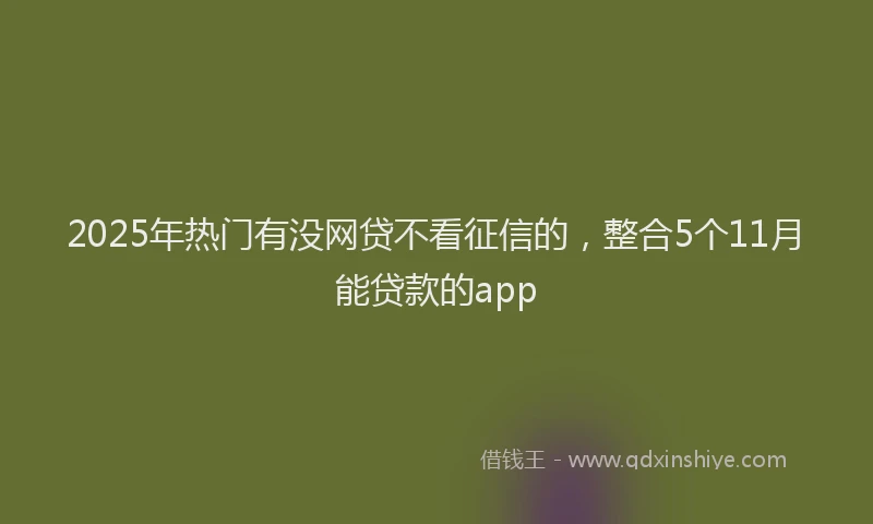 2025年热门有没网贷不看征信的，整合5个11月能贷款的app