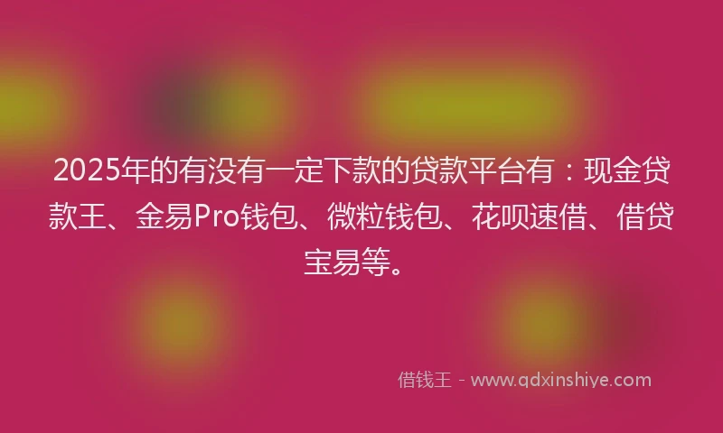 2025年的有没有一定下款的贷款平台有：现金贷款王、金易Pro钱包、微粒钱包、花呗速借、借贷宝易等。