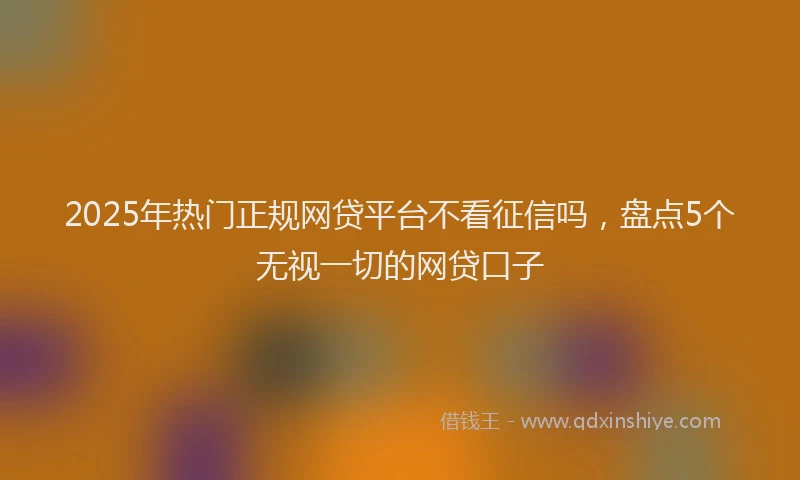 2025年热门正规网贷平台不看征信吗，盘点5个无视一切的网贷口子