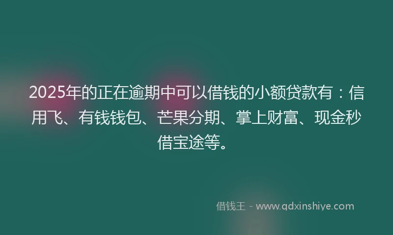 2025年的正在逾期中可以借钱的小额贷款有：信用飞、有钱钱包、芒果分期、掌上财富、现金秒借宝途等。