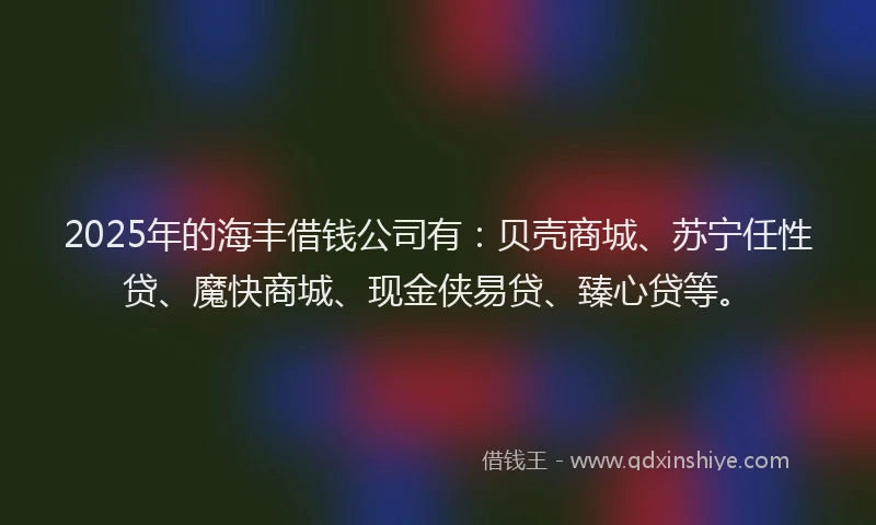 2025年的海丰借钱公司有：贝壳商城、苏宁任性贷、魔快商城、现金侠易贷、臻心贷等。