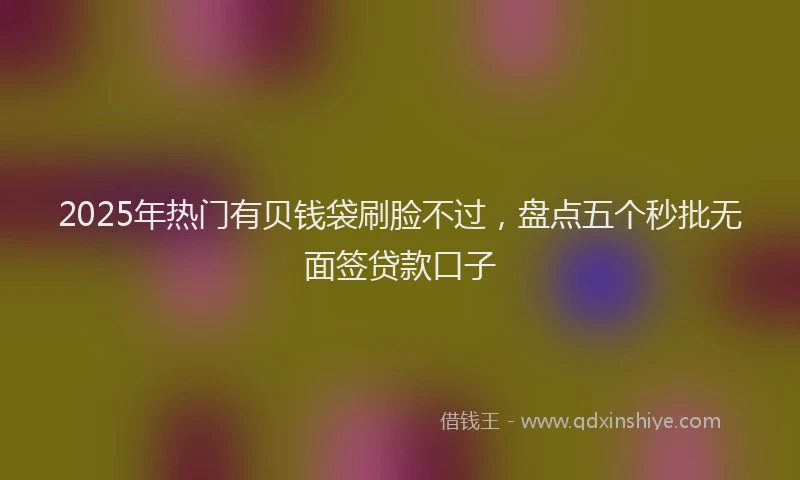 2025年热门有贝钱袋刷脸不过，盘点五个秒批无面签贷款口子