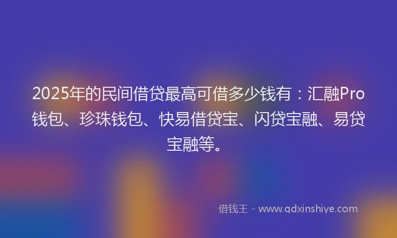 2025年的民间借贷最高可借多少钱有：汇融Pro钱包、珍珠钱包、快易借贷宝、闪贷宝融、易贷宝融等。