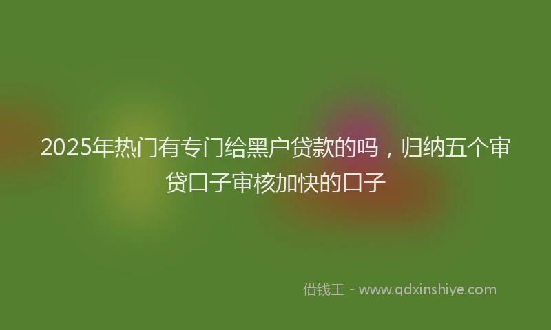 2025年热门有专门给黑户贷款的吗,归纳五个审贷口子审核加快的口子