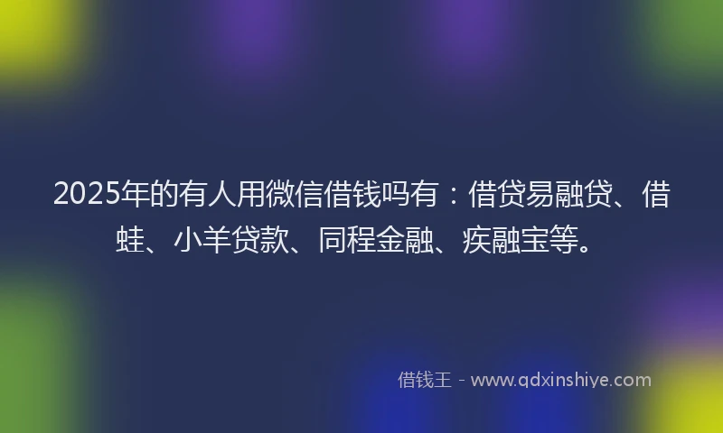 2025年的有人用微信借钱吗有：借贷易融贷、借蛙、小羊贷款、同程金融、疾融宝等。