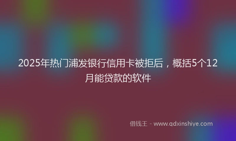 2025年热门浦发银行信用卡被拒后，概括5个12月能贷款的软件