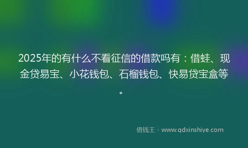 2025年的有什么不看征信的借款吗有：借蛙、现金贷易宝、小花钱包、石榴钱包、快易贷宝盒等。