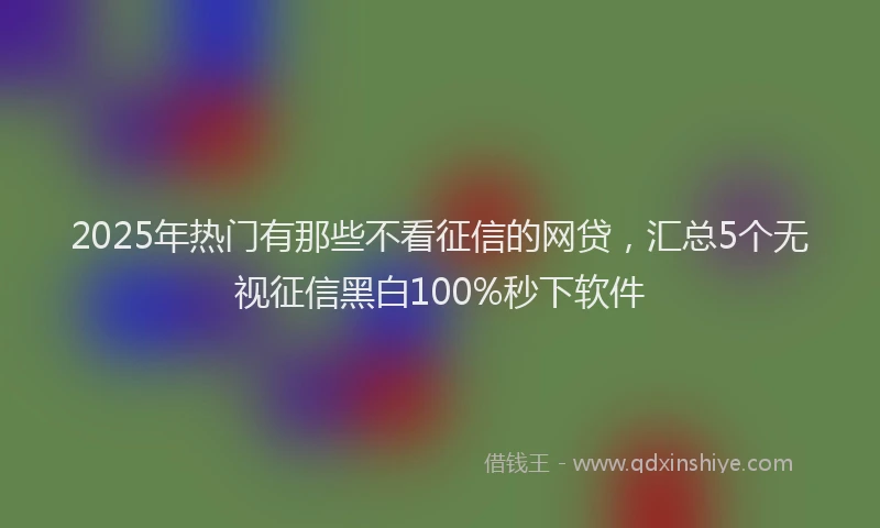 2025年热门有那些不看征信的网贷，汇总5个无视征信黑白100%秒下软件
