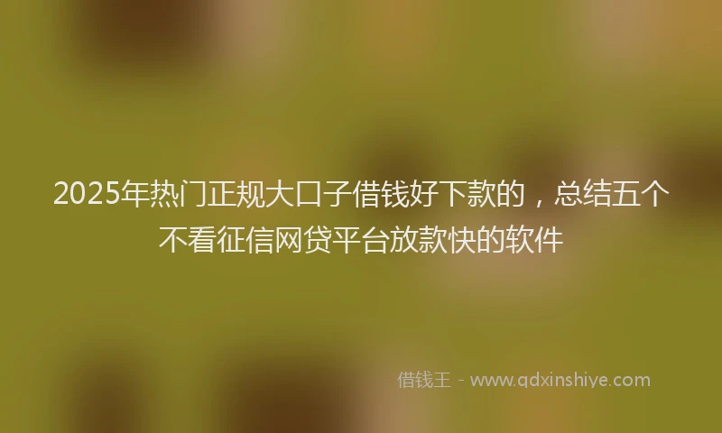 2025年热门正规大口子借钱好下款的，总结五个不看征信网贷平台放款快的软件