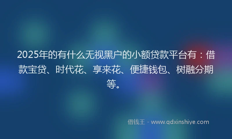 2025年的有什么无视黑户的小额贷款平台有：借款宝贷、时代花、享来花、便捷钱包、树融分期等。
