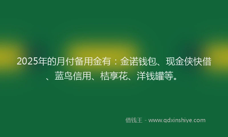 2025年的月付备用金有：金诺钱包、现金侠快借、蓝鸟信用、桔享花、洋钱罐等。