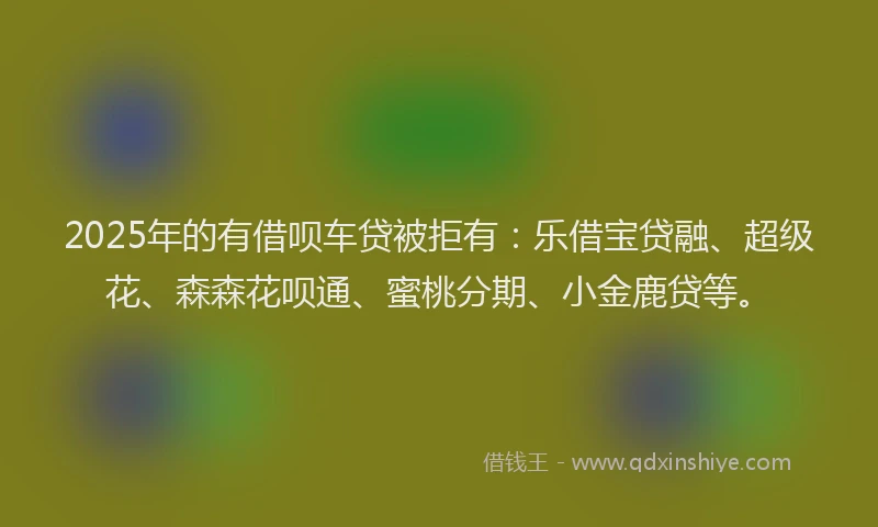 2025年的有借呗车贷被拒有：乐借宝贷融、超级花、森森花呗通、蜜桃分期、小金鹿贷等。