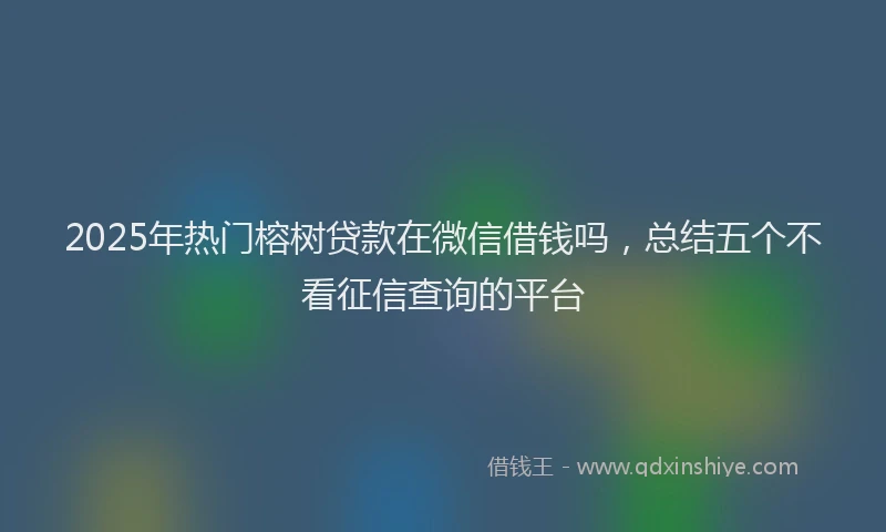 2025年热门榕树贷款在微信借钱吗，总结五个不看征信查询的平台