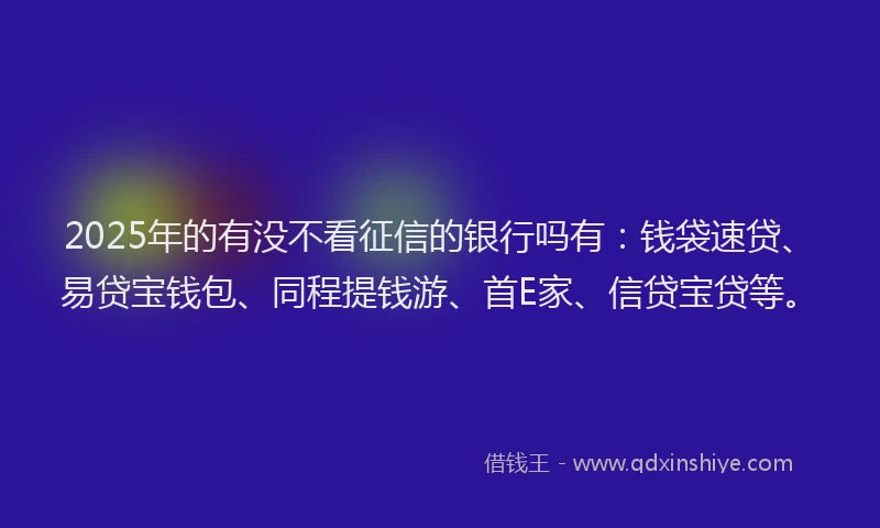 2025年的有没不看征信的银行吗有：钱袋速贷、易贷宝钱包、同程提钱游、首E家、信贷宝贷等。