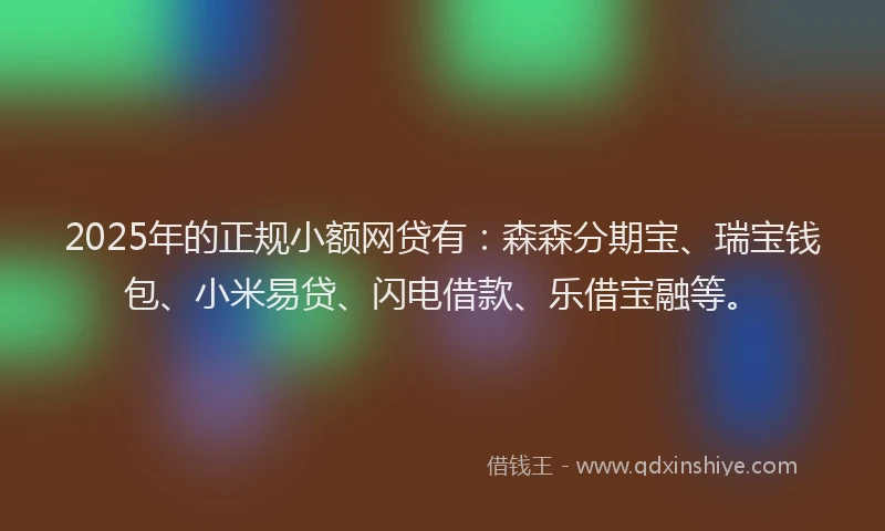 2025年的正规小额网贷有：森森分期宝、瑞宝钱包、小米易贷、闪电借款、乐借宝融等。